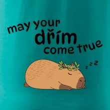 May your dřím come true