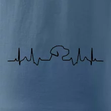 Labrador EKG