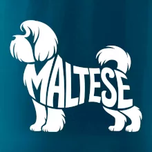 Maltézský psík nápis v těle