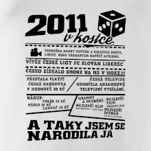 2011 v kostce