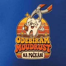 Odebírám moudrost na počkání