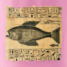 Egyptské hieroglyfy ryba