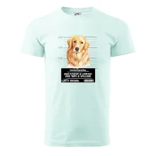 Lump a darebák zlatý retrívr