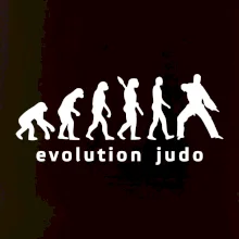 Judo evoluce - úder