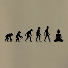Evoluce budha