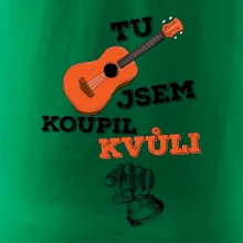 Když koupíš kytaru