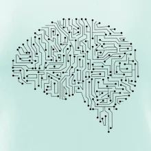 Tištěný spoj mozek