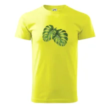 Monstera - dva listy