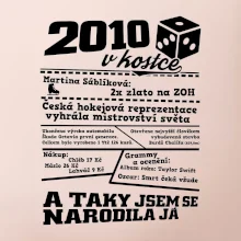 2010 v kostce