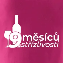 9 měsíců střízlivosti