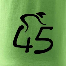 Cyklista slaví pětačtyřicítku (45)