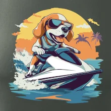 Bígl na vodním skútru