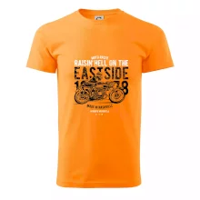 Raisin Hell Moto Racer