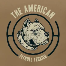 Americký pitbull terier hlava