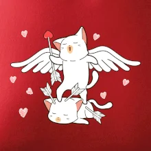 Kočky Amorův šíp