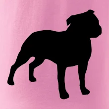 Americký stafordširský teriér  Na prsu