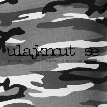 Čeština 2.0 - ulajknout se