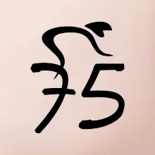 Cyklista slaví pětasedmdesátku (75)