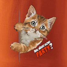 Řekl někdo slovo party