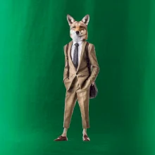 Vlk elegán Vlk elegán