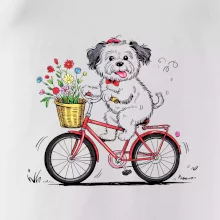 Havanský psík na kole