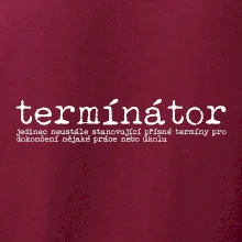 Čeština 2.0 - termínátor