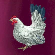 Slepice kreslená bílá