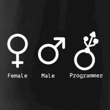 Female male programmer