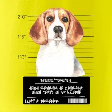 Lump a darebák bígl