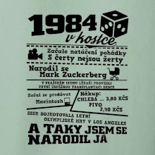 1984 v kostce