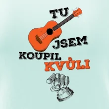 Tu kytaru jsem koupil kvůli tobě