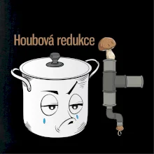 Recept houbová redukce