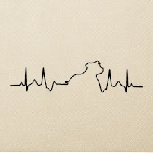 Stafordšírsky bulteriér EKG