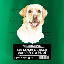 Lump a darebák labrador