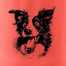 Černobílá karikatura Border kolie