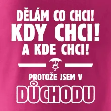 Dělám co chci, kdy chci důchod
