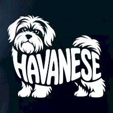 Havanese nápis v těle