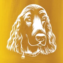 Kokršpaněl - hlava kreslená