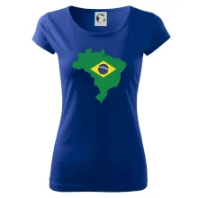 Brazílie vlajka v mapě