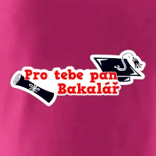 Pro tebe pan Bakalář