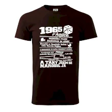 1965 v kostce