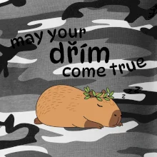 May your dřím come true May your dřím come true