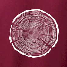 Letokruhy 100 bez věku