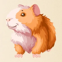 Morče - kreslené, bílo oranžové