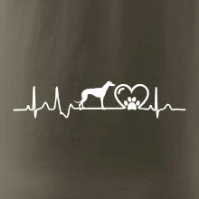Chrt - Ekg