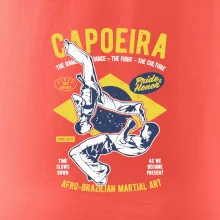 Capoeira  Afro-brazil art