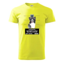 Lump a darebák border kolie