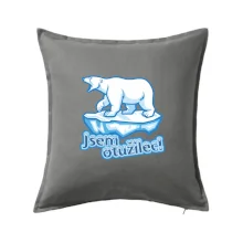 Jsem otužilec - medvěd