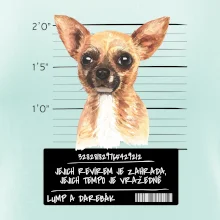 Lump a darebák čivava