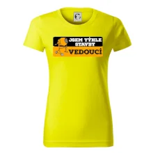 Jsem týhle stavby vedoucí